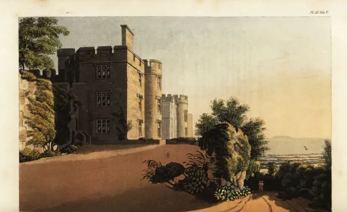 Framed Print : Dunster Castle, Somerset, seat of John Fowles Luttrell Framed Print : Dunster Castle, Somerset, seat of John Fowles Luttrell