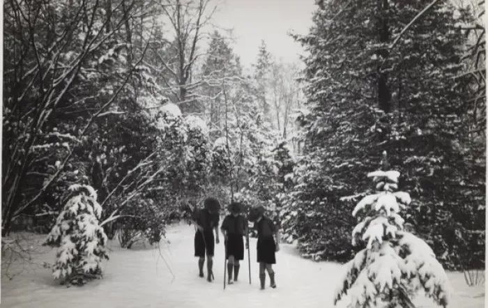 Framed Print : Dutch boy scouts tracking in snow, Holland