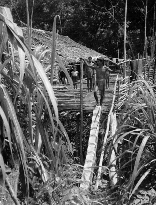 Framed Print : Dyak Longhouse Framed Print : Dyak Longhouse