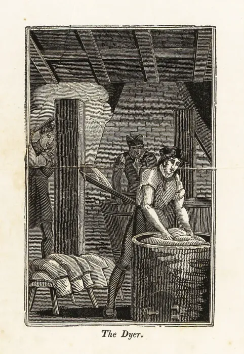 Framed Print : Dyer dunking bolts of fabric in a vat in a workshop Framed Print : Dyer dunking bolts of fabric in a vat in a workshop