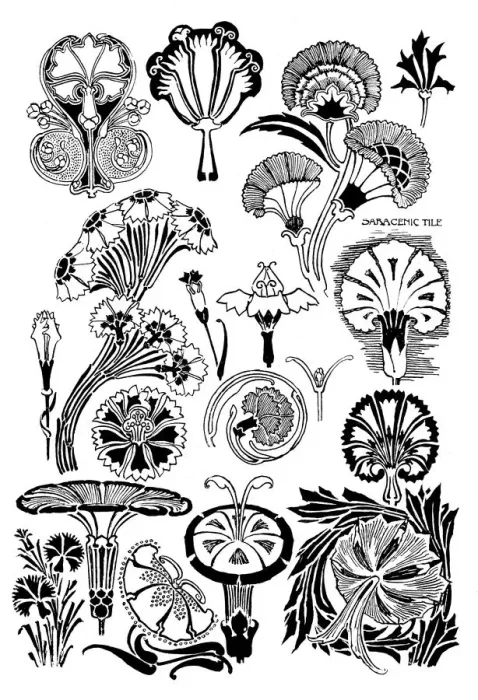 Framed Print : Pinks. Studies in plant form with suggestions for their application to design Framed Print : Pinks. Studies in plant form with suggestions for their application to design
