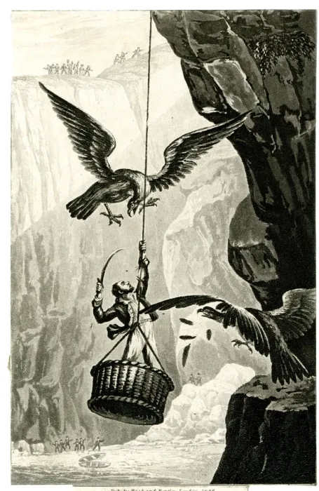 Framed Print : Eagle Egg Hunting - Attempt to rob the Aerie Framed Print : Eagle Egg Hunting - Attempt to rob the Aerie