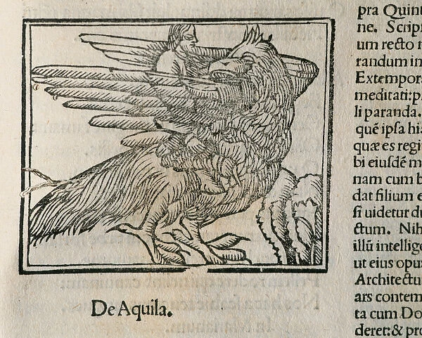 Eagle. Epigrams by Martial