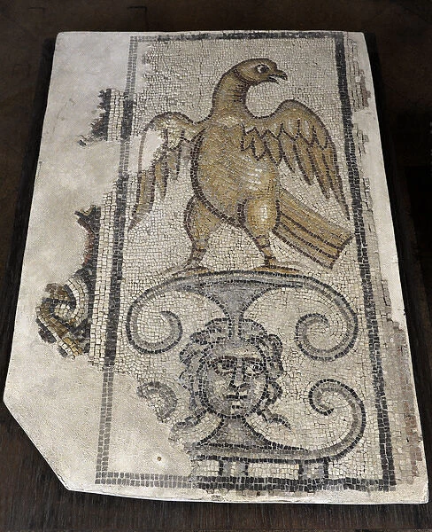 Eagle and Medusa Head. Mosaic floor. Synagogue at Yafia, Low