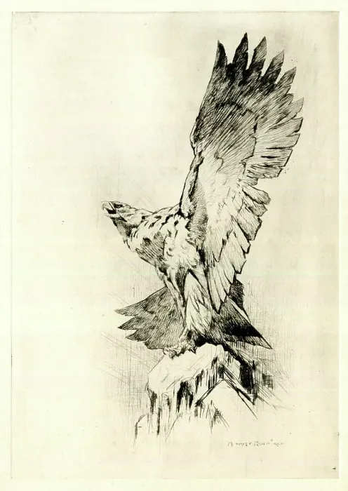 Framed Print : Eagle on a rock with wings outspread, by Harry Rountree Framed Print : Eagle on a rock with wings outspread, by Harry Rountree