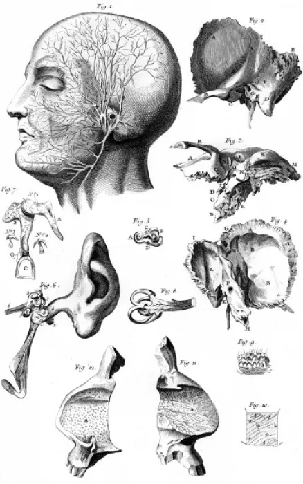 Framed Print : Ear Anatomy 18th Century Framed Print : Ear Anatomy 18th Century