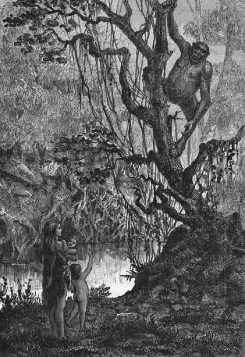 Framed Print : Earliest Man Framed Print : Earliest Man