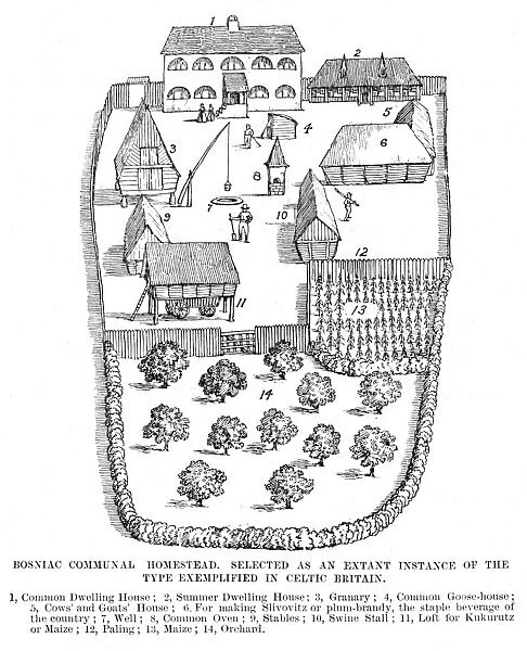 Early British Homestead