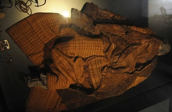 The Early Iron Age. The bog body from Huldremose in Djurslan
