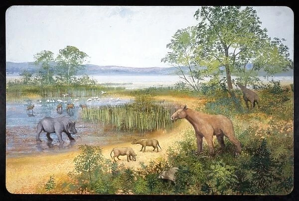 Early Miocene scene in Europe