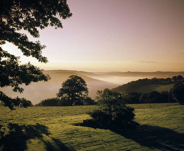 Early morning mist, Tamar Valley, Cornwall