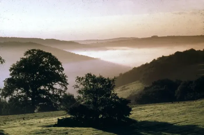 Framed Print : Early morning mist, Tamar Valley, Cornwall Framed Print : Early morning mist, Tamar Valley, Cornwall