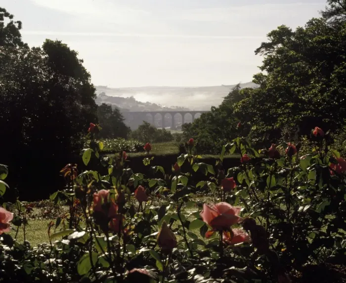 Framed Print : Early morning mists, River Tamar valley, Cornwall Framed Print : Early morning mists, River Tamar valley, Cornwall