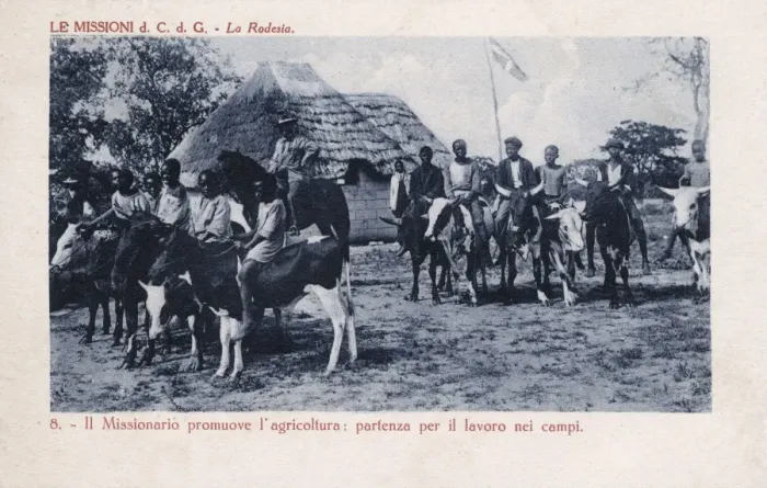 Framed Print : East Africa - Rhodesia - Riding to the field on cattle Framed Print : East Africa - Rhodesia - Riding to the field on cattle