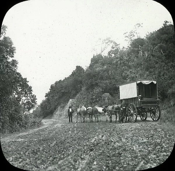 East Africa - Wagon In Natal