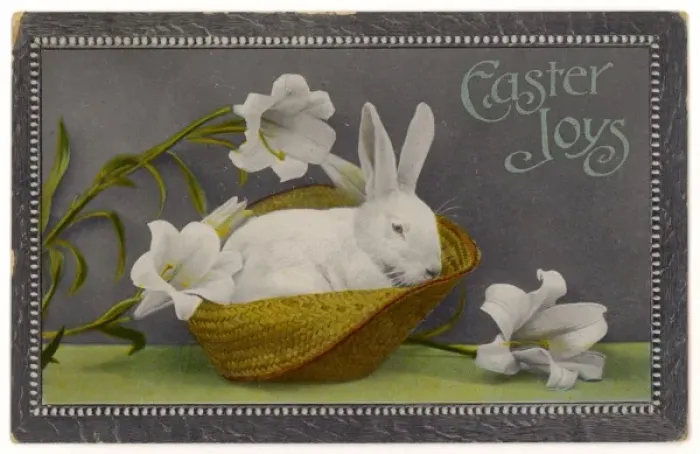 Framed Print : Easter / Bunnies & Lilies Framed Print : Easter / Bunnies & Lilies