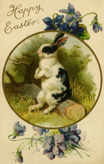 Framed Print : Easter bunny Framed Print : Easter bunny
