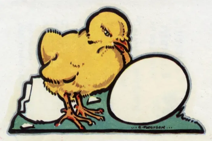 Framed Print : Easter Card design, chick hatched from an egg Framed Print : Easter Card design, chick hatched from an egg