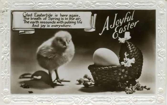 Framed Print : Easter postcard with chick and egg in a basket Framed Print : Easter postcard with chick and egg in a basket