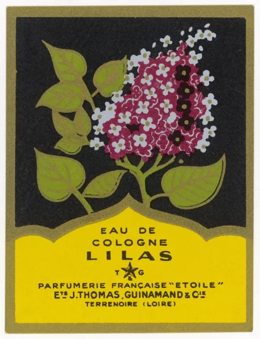 Framed Print : Eau De Cologne Lilas Framed Print : Eau De Cologne Lilas