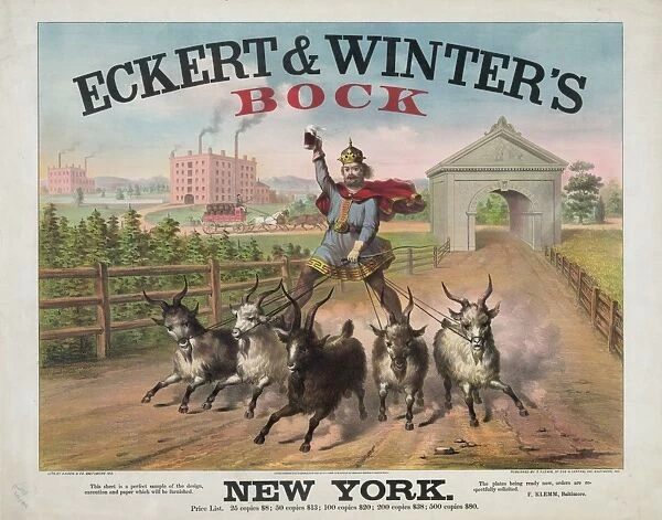 Eckert & Winters Bock - New York