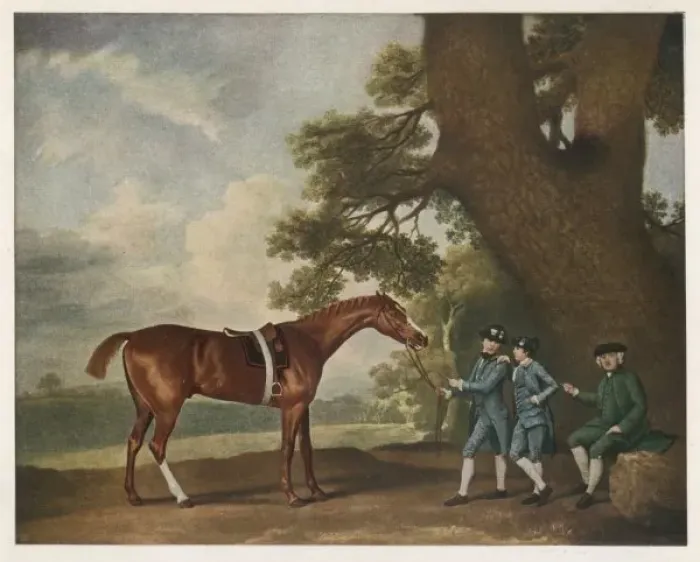 Framed Print : ECLIPSE. Great-grandson of Darley Arabian, raced 1769-1770 in 18 races Framed Print : ECLIPSE. Great-grandson of Darley Arabian, raced 1769-1770 in 18 races