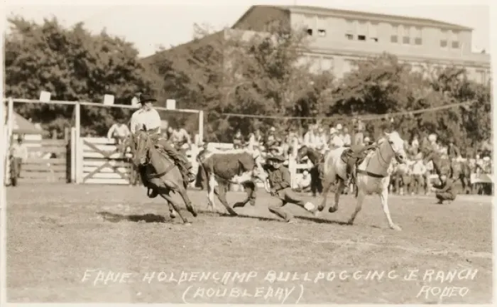 Framed Print : Eddie Holdencamp, Bulldogging Ranch Rodeo Framed Print : Eddie Holdencamp, Bulldogging Ranch Rodeo