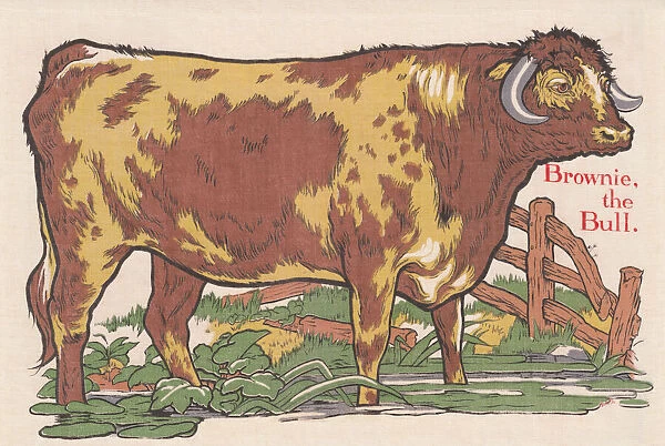 Bull. An image depicting a bull. Artist: Edith Berkeley