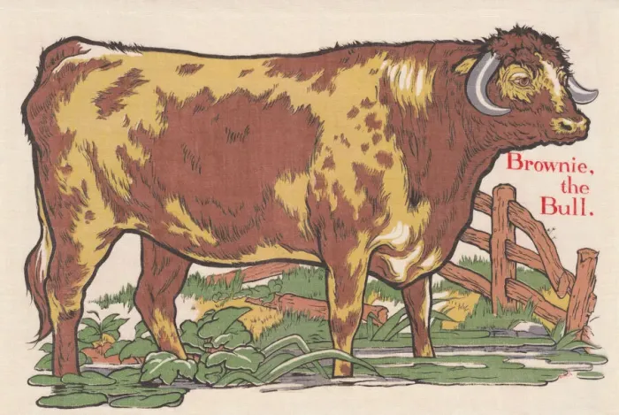 Framed Print : Bull. An image depicting a bull. Artist: Edith Berkeley Framed Print : Bull. An image depicting a bull. Artist: Edith Berkeley