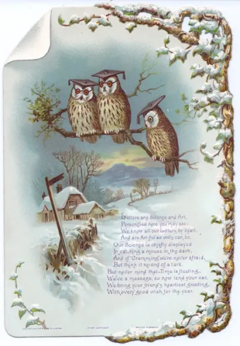Framed Print : Three educated owls on a New Year card Framed Print : Three educated owls on a New Year card