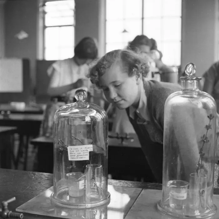 Framed Print : Education, girls, science Framed Print : Education, girls, science
