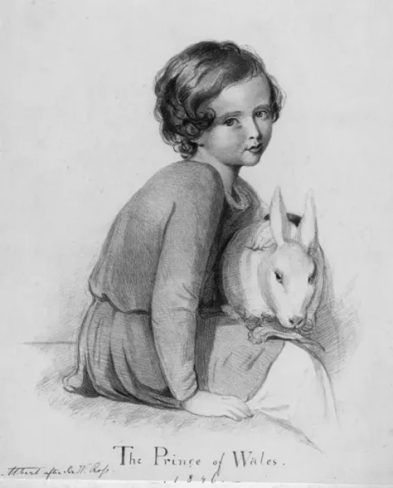 Framed Print : Edward Prince of Wales with pet rabbit Framed Print : Edward Prince of Wales with pet rabbit