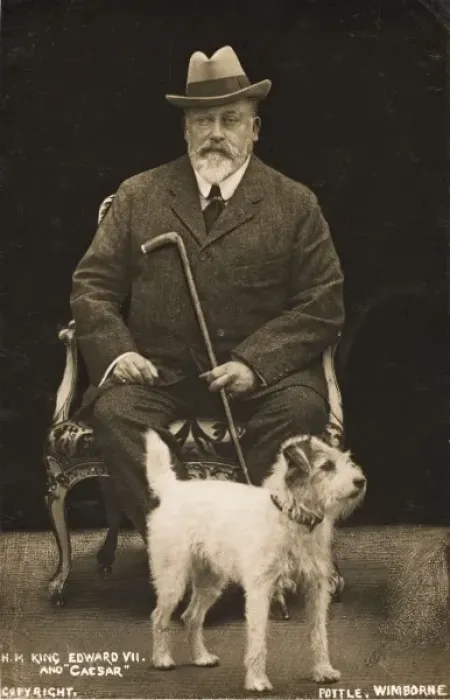 Framed Print : Edward VII and his dog Caesar