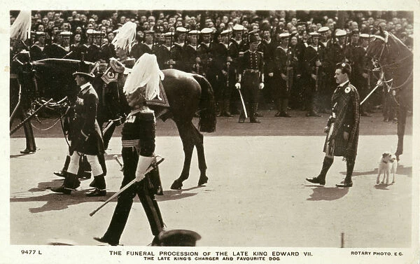 Edward VII procession, Caesar the dog following 1910