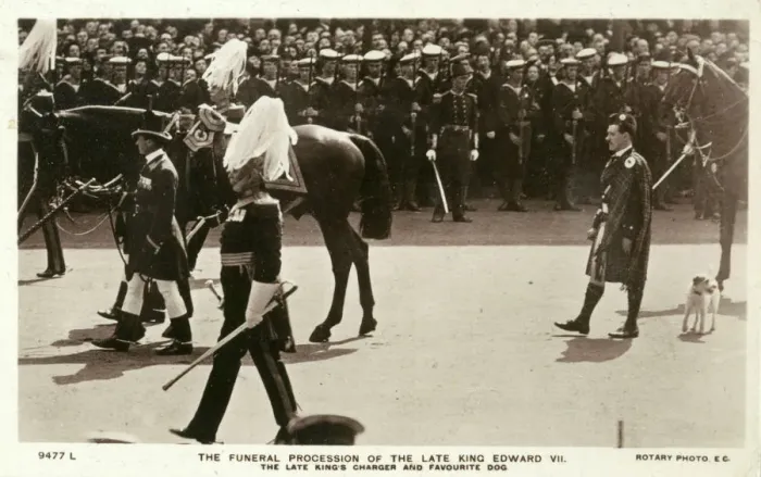 Framed Print : Edward VII procession, Caesar the dog following 1910 Framed Print : Edward VII procession, Caesar the dog following 1910
