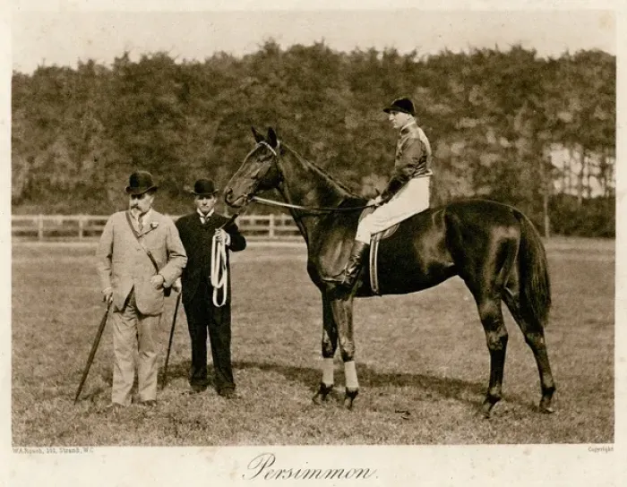 Framed Print : Edward VII W / Persimmon Framed Print : Edward VII W / Persimmon