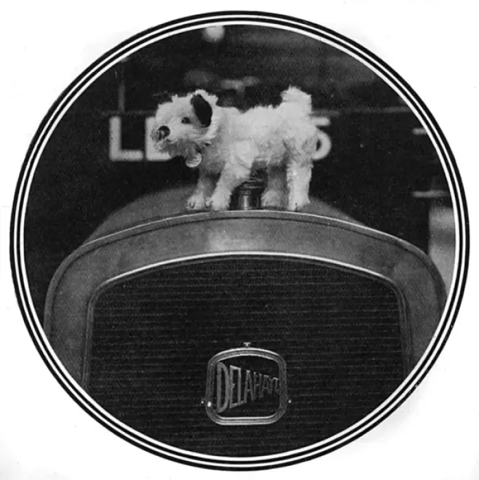 Framed Print : Edward VIIs dog Caesar becomes a car mascot Framed Print : Edward VIIs dog Caesar becomes a car mascot