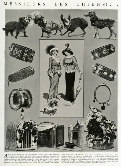 Framed Print : Edwardian accessories for dogs 1912 Framed Print : Edwardian accessories for dogs 1912