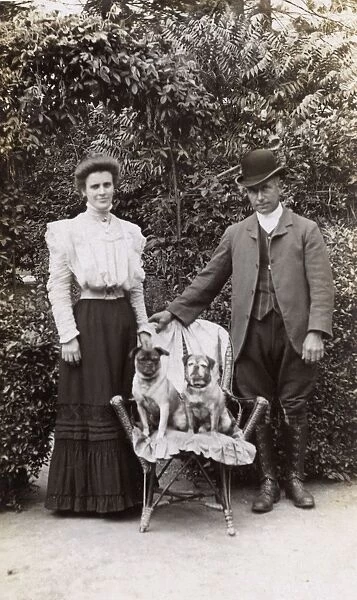 Edwardian couple with two pug dogs in a garden