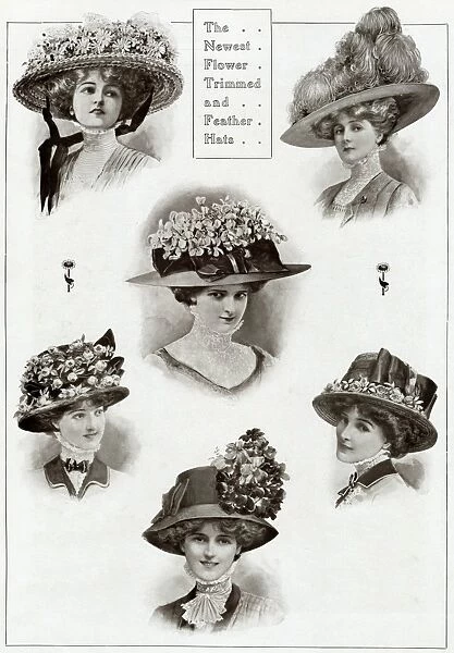 Edwardian floral and feathered hats 1909