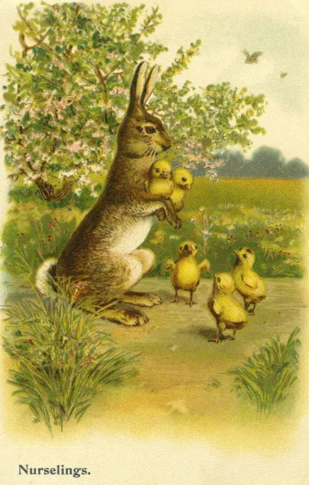 Framed Print : Edwardian humour Framed Print : Edwardian humour