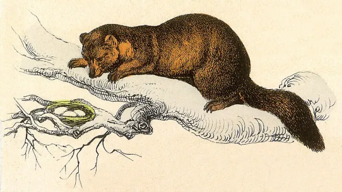 Framed Print : Egg Eater Date: 1880 Framed Print : Egg Eater Date: 1880