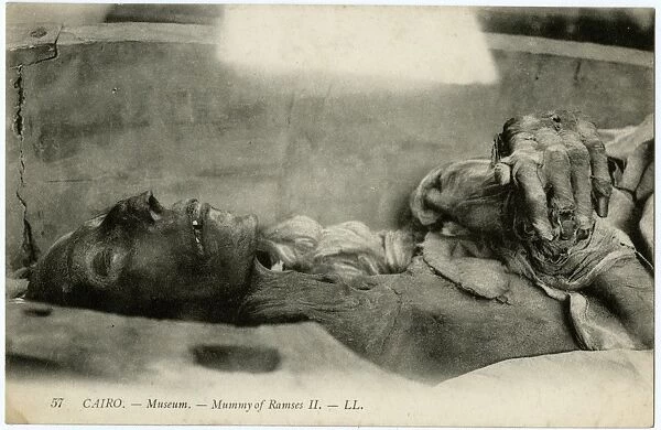 Egypt, Africa - The Mummy of Rameses II at Cairo