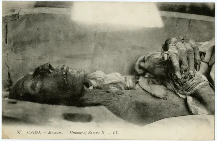 Framed Print : Egypt, Africa - The Mummy of Rameses II at Cairo Framed Print : Egypt, Africa - The Mummy of Rameses II at Cairo