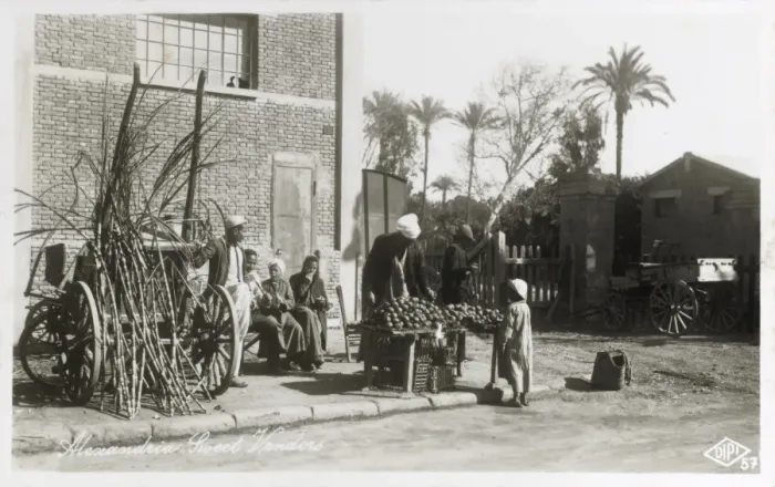 Framed Print : Egypt - Alexandria - Sugar Cane and Sweet Vendor Framed Print : Egypt - Alexandria - Sugar Cane and Sweet Vendor