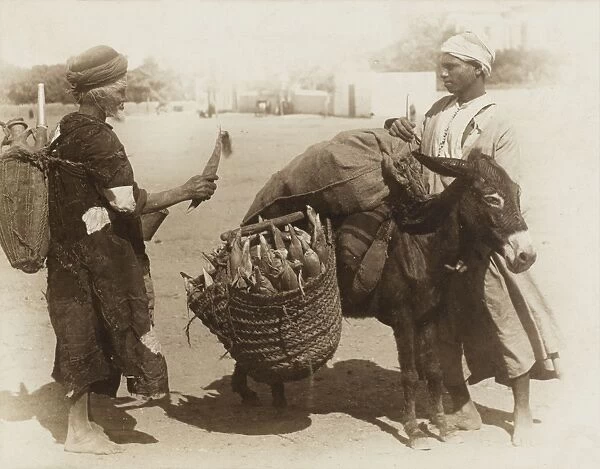 Egypt - buying corn from a donkeys panniers