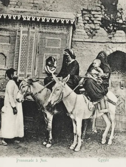 Framed Print : Egypt - Cairo - Donkey Ride Framed Print : Egypt - Cairo - Donkey Ride