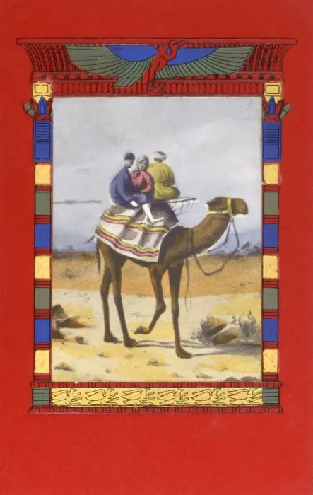 Framed Print : Egypt - Camel Ride in decorative surround Framed Print : Egypt - Camel Ride in decorative surround