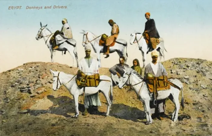 Framed Print : Egypt - Donkeys & Donkey Drivers Framed Print : Egypt - Donkeys & Donkey Drivers