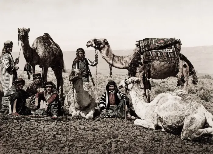 Framed Print : Egypt, halt of a camel train in the desert